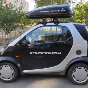 Автомобільний бокс Terra Drive 320 на Smart ForTwo
