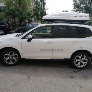 Автомобильный бокс Terra Drive 480 белый глянцевый, двухсторонний на Subaru Forester