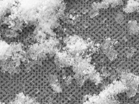 Чехол-тент для автомобиля Kegel-Blazusiak Mobile Garage XL SUV Coupe - фото 11