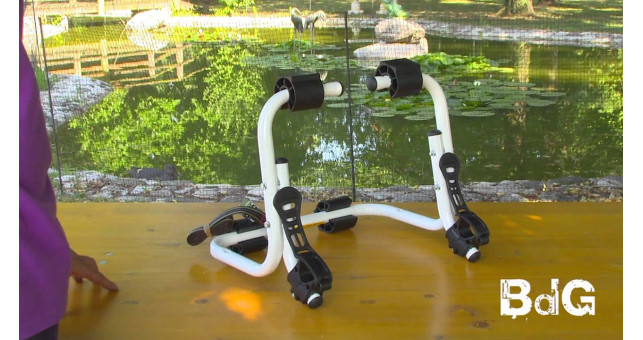 Крепление на заднюю дверь автомобиля Peruzzo BdG - Bassano del Grappa - фото 2